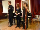 Die Instrumente im Orchester Richard Wagners